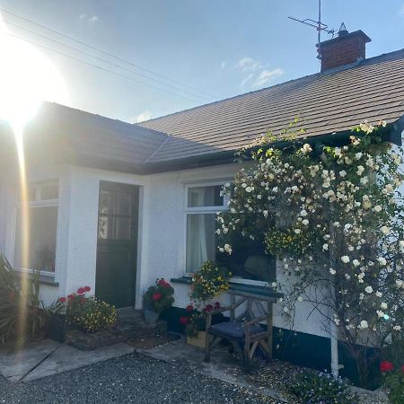 Hawthorn Cottage Greencastle  Extérieur photo
