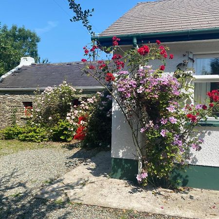 Hawthorn Cottage Greencastle  Extérieur photo