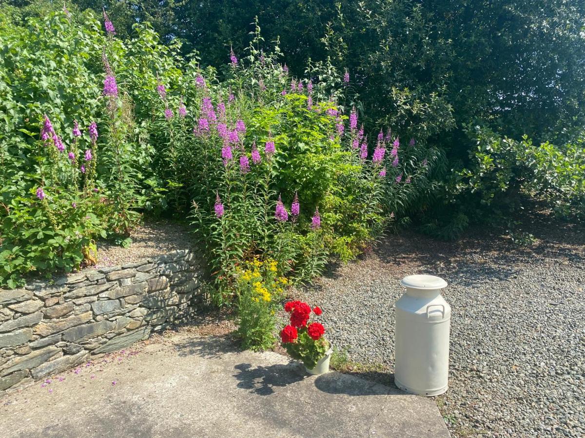 Hawthorn Cottage Greencastle  Extérieur photo