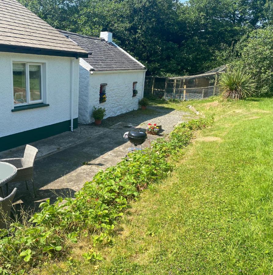 Hawthorn Cottage Greencastle  Extérieur photo