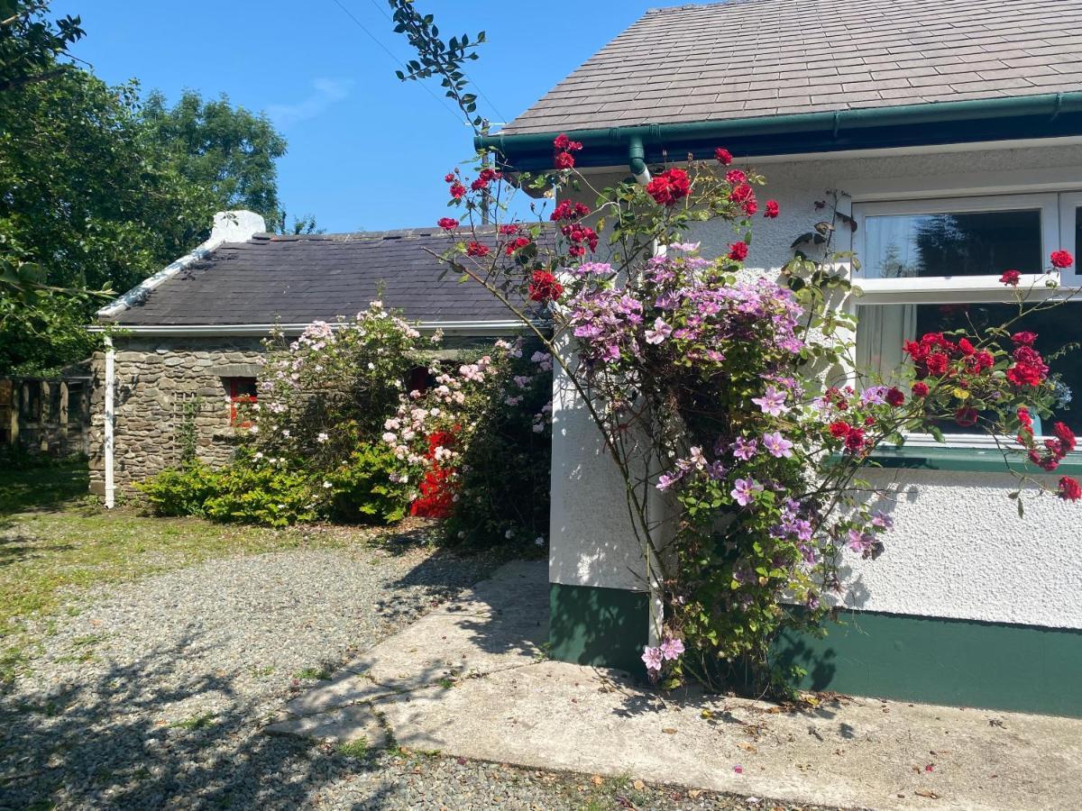 Hawthorn Cottage Greencastle  Extérieur photo